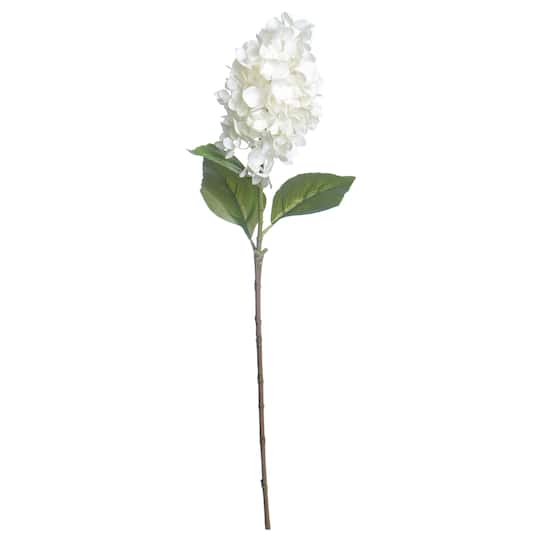 Cream Cone Hydrangea Stem by Ashland&#xAE;